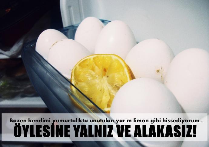 Yalnızım, Yalnızsın, Yalnızız!