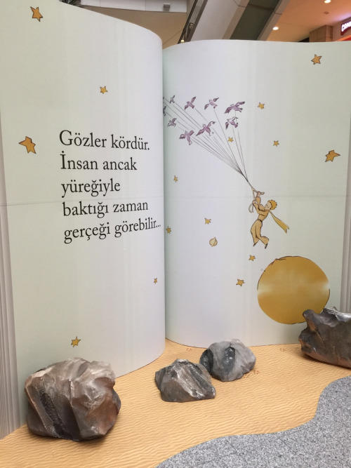 Kitaplarda, Hayat Buluyoruz