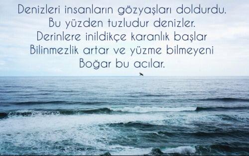Balıklar da Ağlar Ama Haberi Olmaz Denizin