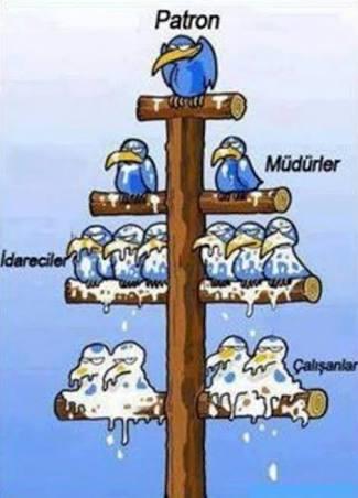 Allâh'ın Varlığı ve Eşitlik Üzerine 