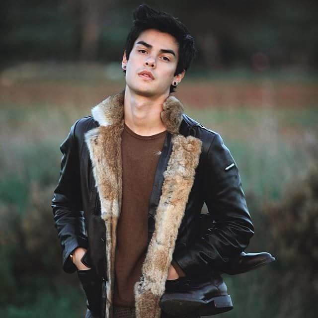 Hayaller-Hayatlar