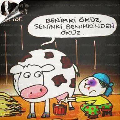 Bir Erkeğin Gözünden Aşk İlişkileri ve Romantizm