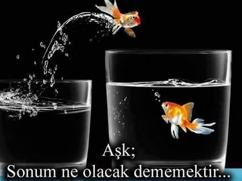 Hayat, Siz Planlar Yaparken Başınıza Gelenlerdir