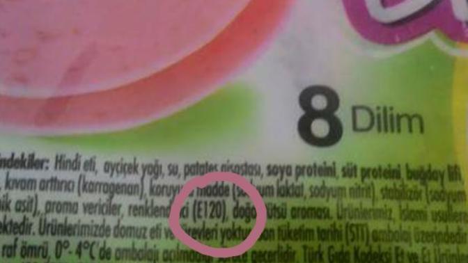 Gıdalardaki E120 Renklendirici Maddesi Böceklerden Üretiliyor!