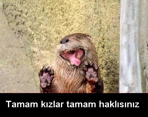 Kadın (Kız) Nedir ?
