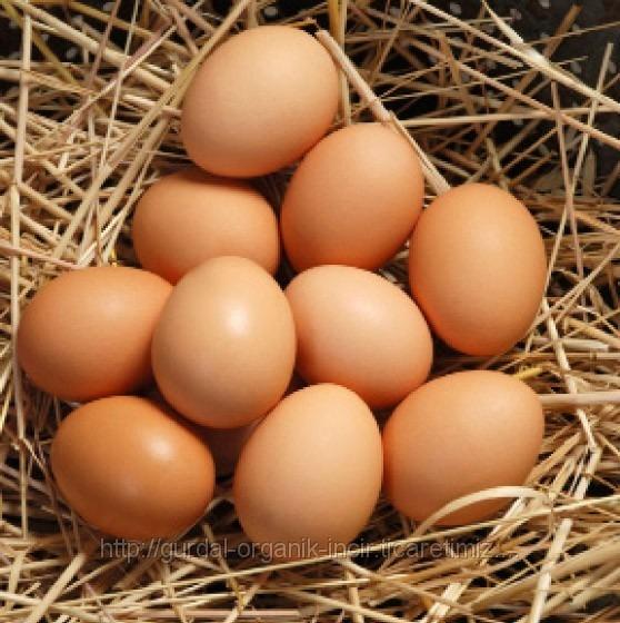 Bir Erkeğin Elinden Menemen Tarifi