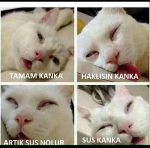 Aşk Acısı Katliamı