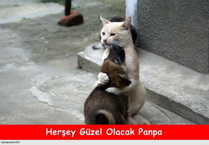 Ağzına Meşe Odunuyla Vurulası Tipler!