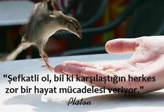 Bir Çirkin Kadın Hikayesi