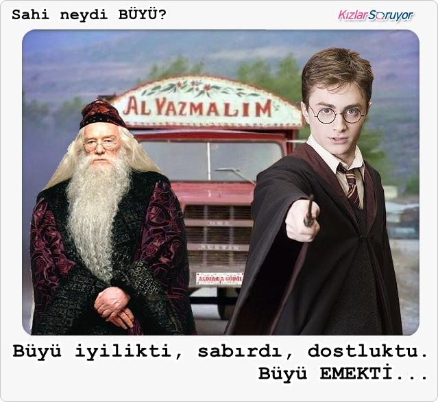 Harry Potter: Emmi'nin Laneti