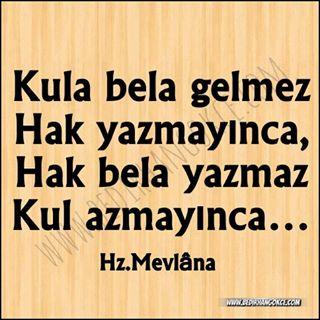 Türk Erkeği Göğüste Dolgun, Kadında Olgun Sever!