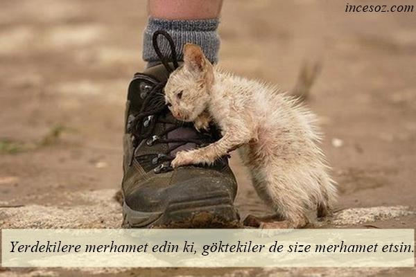 İnsanlık Nereye Gidiyor?