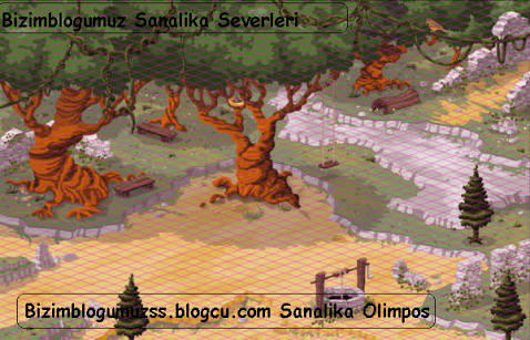 İlk Online Oyunum: Sanalika