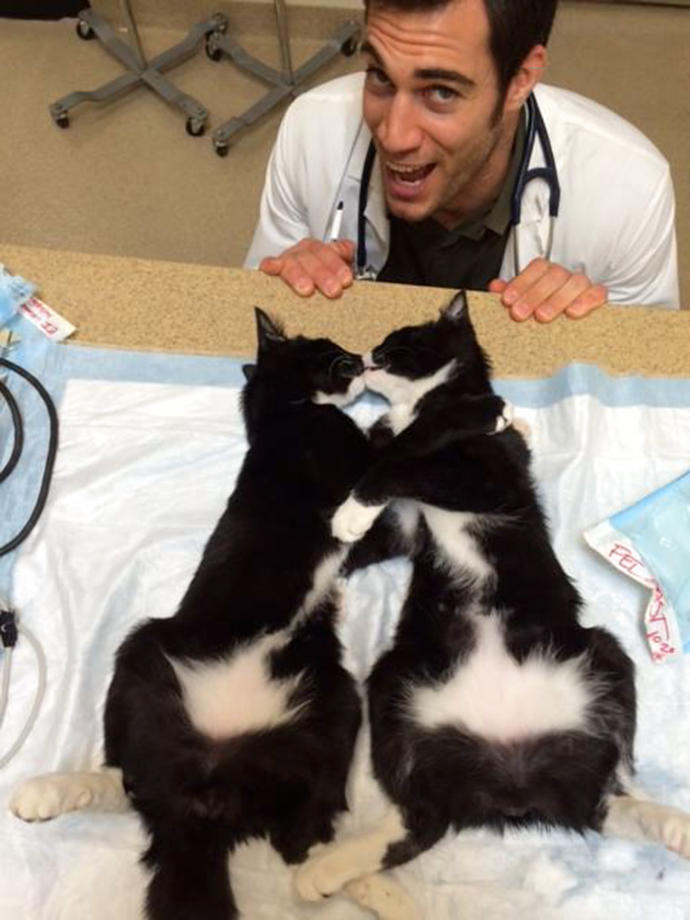 Dünyanın En Yakışıklı Veterineri ve Onun Dünya Tatlısı Hastaları