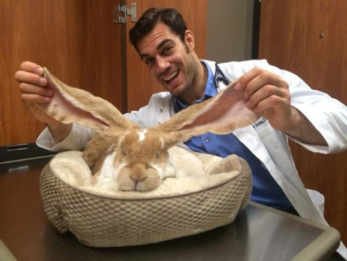 Dünyanın En Yakışıklı Veterineri ve Onun Dünya Tatlısı Hastaları