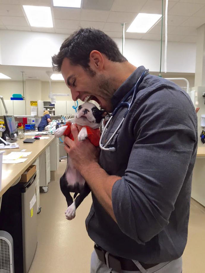 Dünyanın En Yakışıklı Veterineri ve Onun Dünya Tatlısı Hastaları