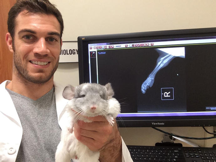 Dünyanın En Yakışıklı Veterineri ve Onun Dünya Tatlısı Hastaları