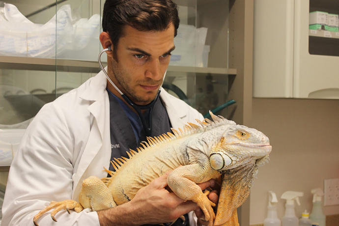 Dünyanın En Yakışıklı Veterineri ve Onun Dünya Tatlısı Hastaları