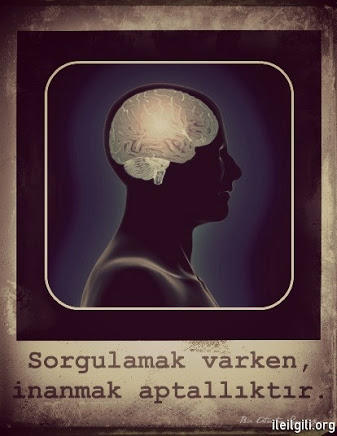 "Bu Ülkenin Ekmeğini Yiyorsun" Diye Bir Şey Yok