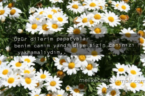 Çirkinsiniz ve Bu Fiziksel Değil