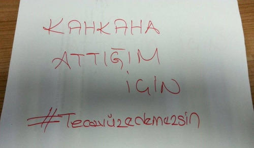 Sosyal Medyada Bir Kadın Hareketi: #Tecavüzedemezsin