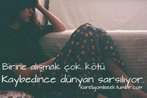 Benim Sanal Aşkım, İmkansızım