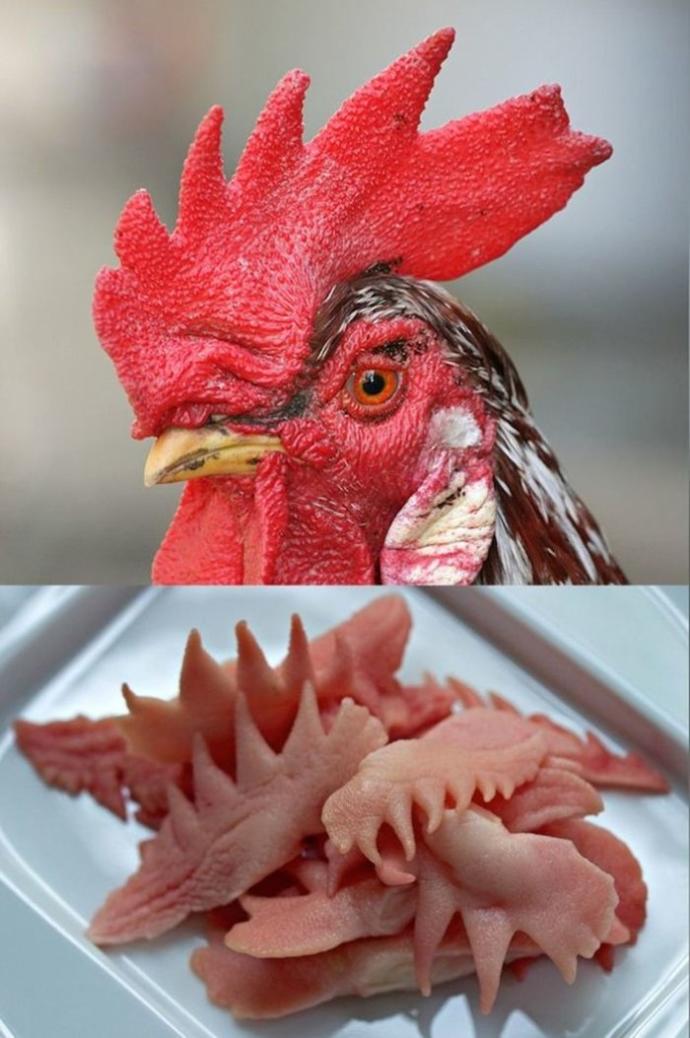 Bize Göre İğrenç Onlara Göre Özel Yemekler