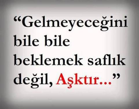 Aşkın Bir Tek Anlamı Yoktur!