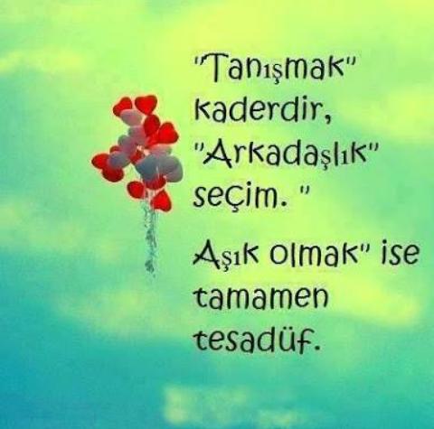 Aşkın Bir Tek Anlamı Yoktur!
