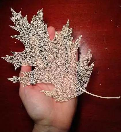 A4 Kağıt İle Sanat Yapmak