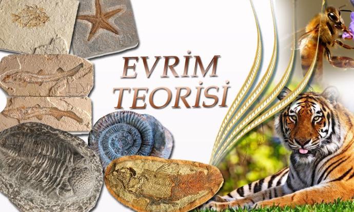 Evrim Teorisi ve Allahın Yaratma Şekli