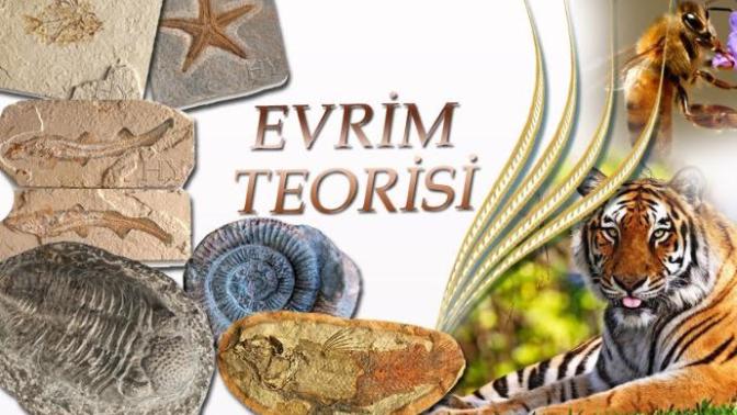 Evrim Teorisi ve Allahın Yaratma Şekli
