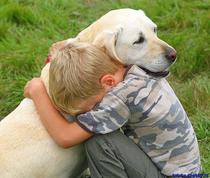 Köpek Yetiştirmeniz İçin 5 Sebep