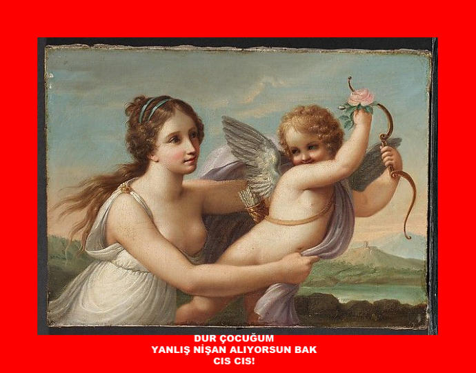 Uçuşa Geçen Sevgili Günlük