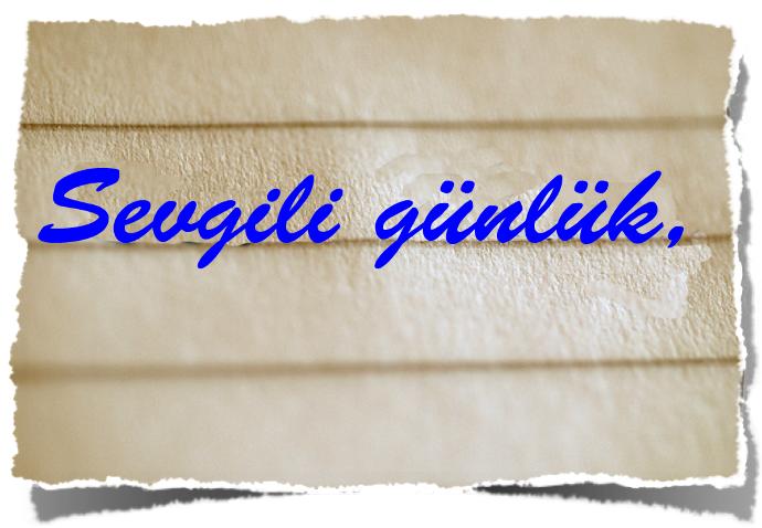 Uçuşa Geçen Sevgili Günlük