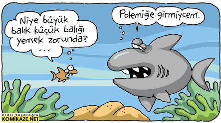 KizlarSoruyor'da Moderatör Olmak