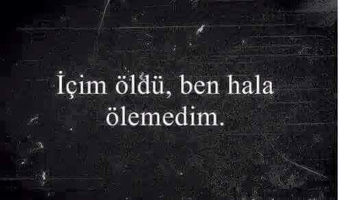 Başladığım yerdeyim, ilk günkü gibi.. 