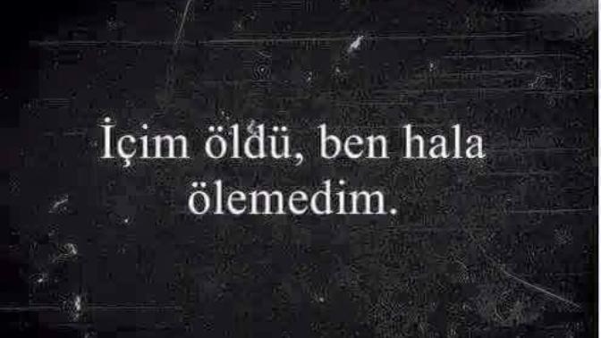 Başladığım Yerdeyim, İlk Günkü Gibi