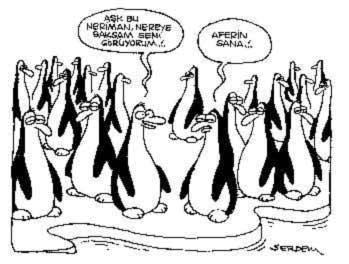 sevgililer günü karikatürleri