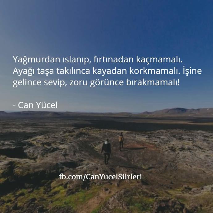Terk Edilmiş Kırık Kalpler Adına