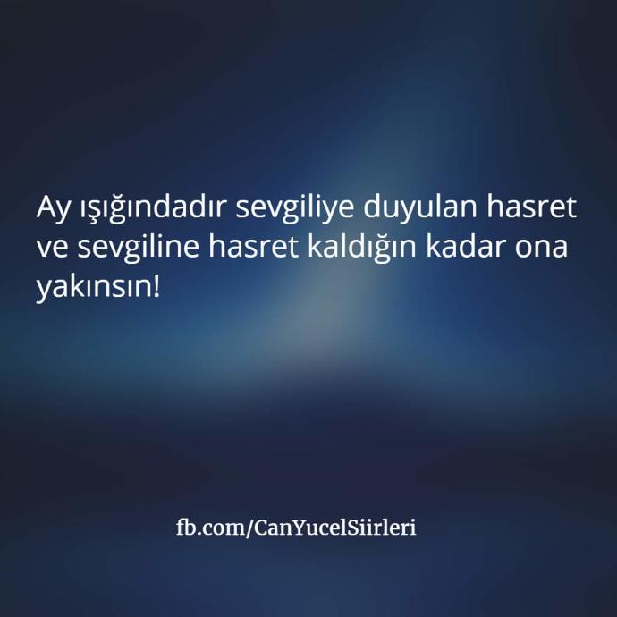 Terk Edilmiş Kırık Kalpler Adına