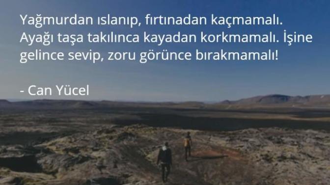 Terk Edilmiş Kırık Kalpler Adına