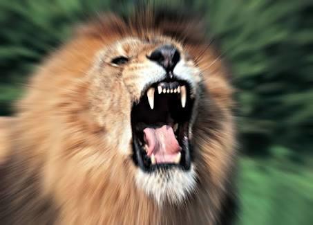 10 Madde İle Aslan Burcu Kadınlarını Tanımak