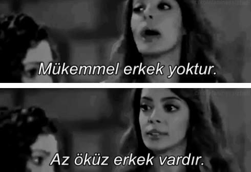 Odun ve Öküz Erkeği Tanıyalım!