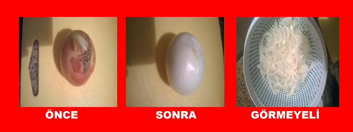 Mutfakta Yorgan Var!