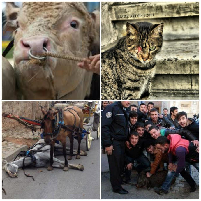 Daha İyi Bir İnsan Olabilmek İçin Neler Mümkün?