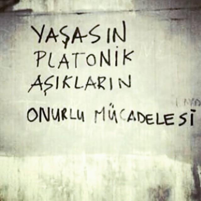 Platonik aşkın hikayesi