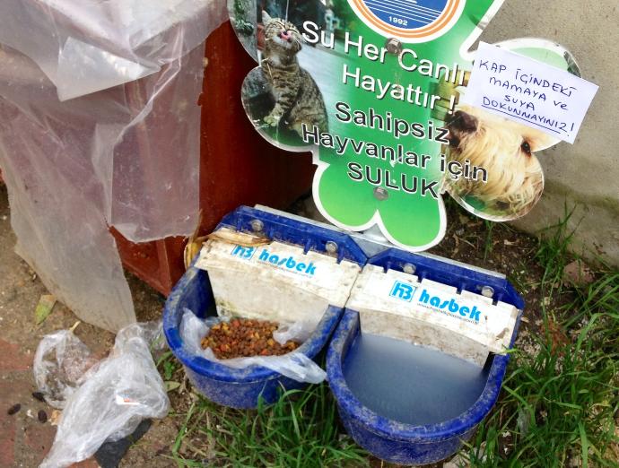 Patilerin 14 Şubat'ı
