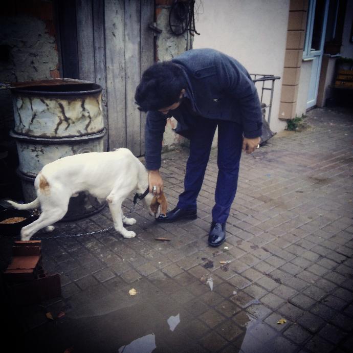 Sokak hayvanlarina sahip cikin!