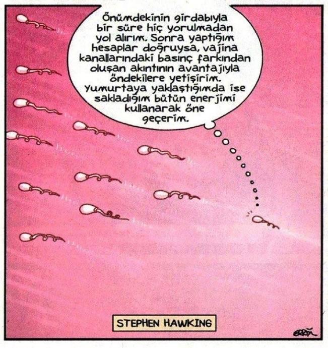 Erkeğe Şiddet, İnsanlığa İhanettir